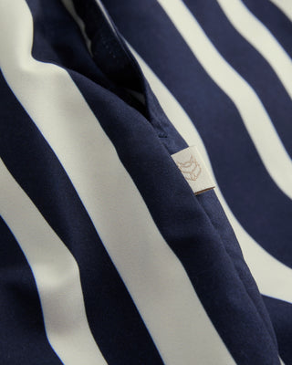 Cabana Stripe Swim Shorts